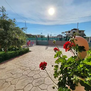 Orange , Vlore Albania